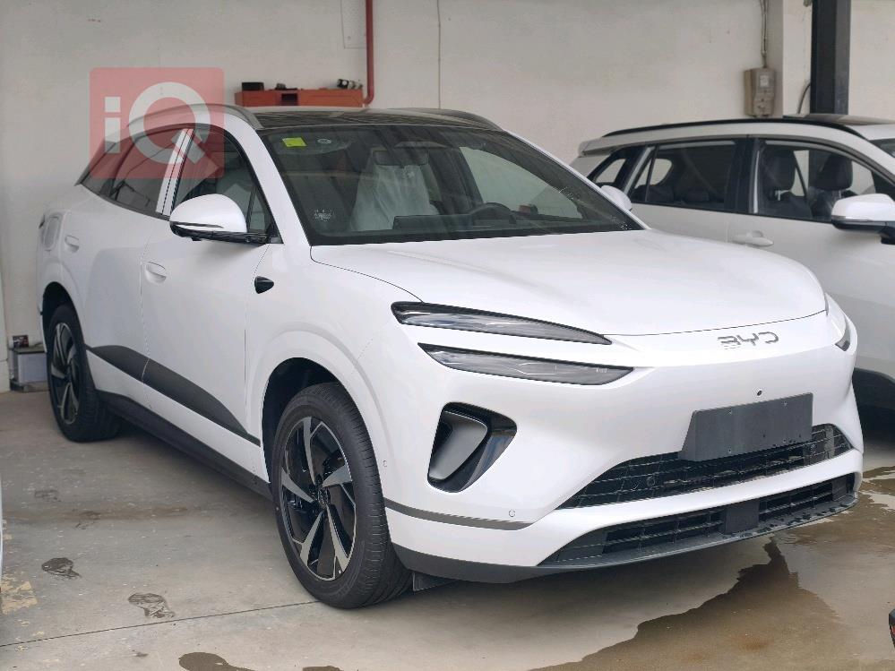 بي واي دي سيليون 06 DM-i